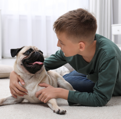 Niño acostado en el piso mientras abraza y juega con un perro pug en la sala de su casa, reflejando una convivencia cercana y afectuosa.