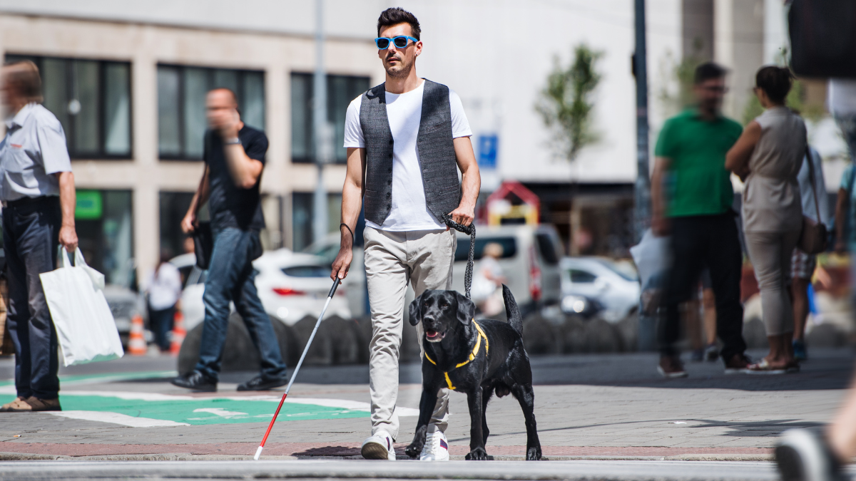 Hombre con bastón blanco y perro guía cruzando una calle en una zona urbana
